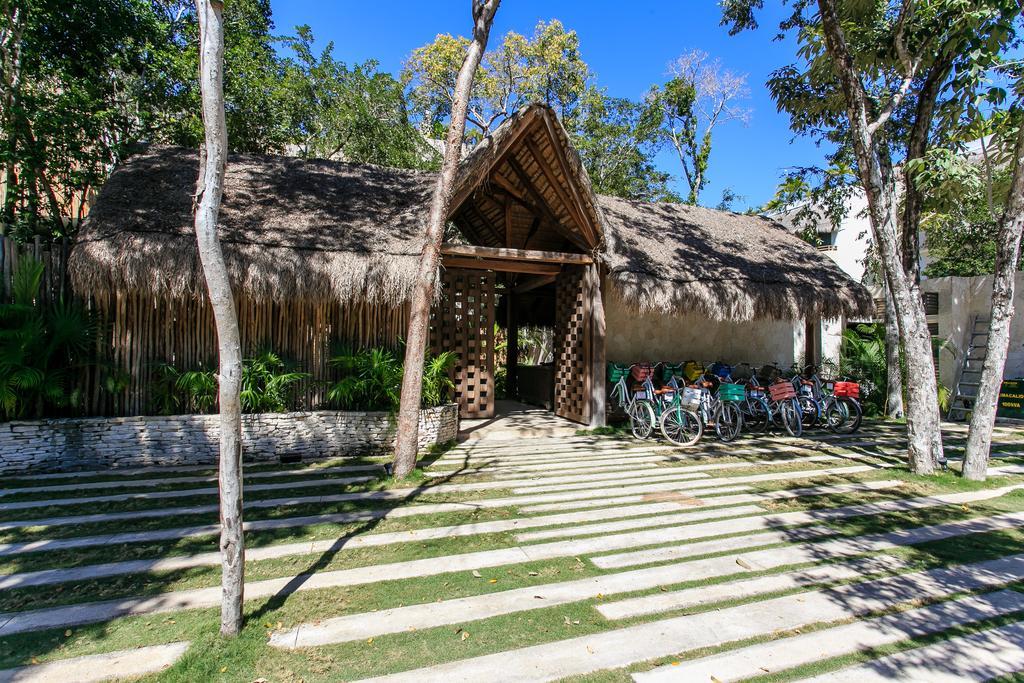 Appartement Eco-chic Design Wrapped In Nature's Elements By Stella Tulum